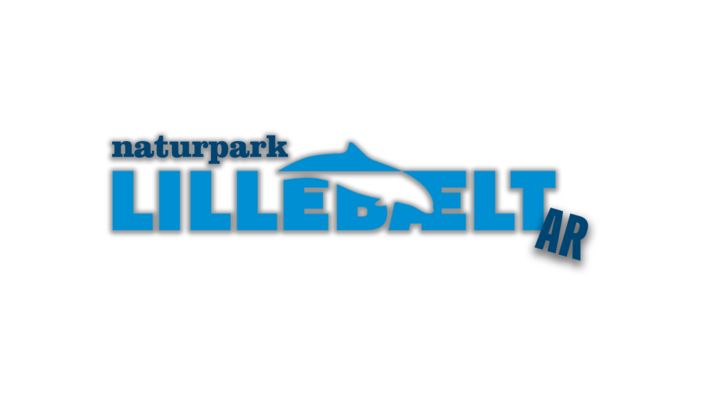 AR App project logo